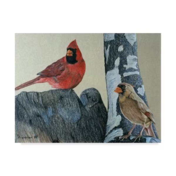 Rusty Frentner 'Two Cardinals' Canvas Art, 14x19, Trademark Fine Art, Mfr#: ALI32977-C1419GG